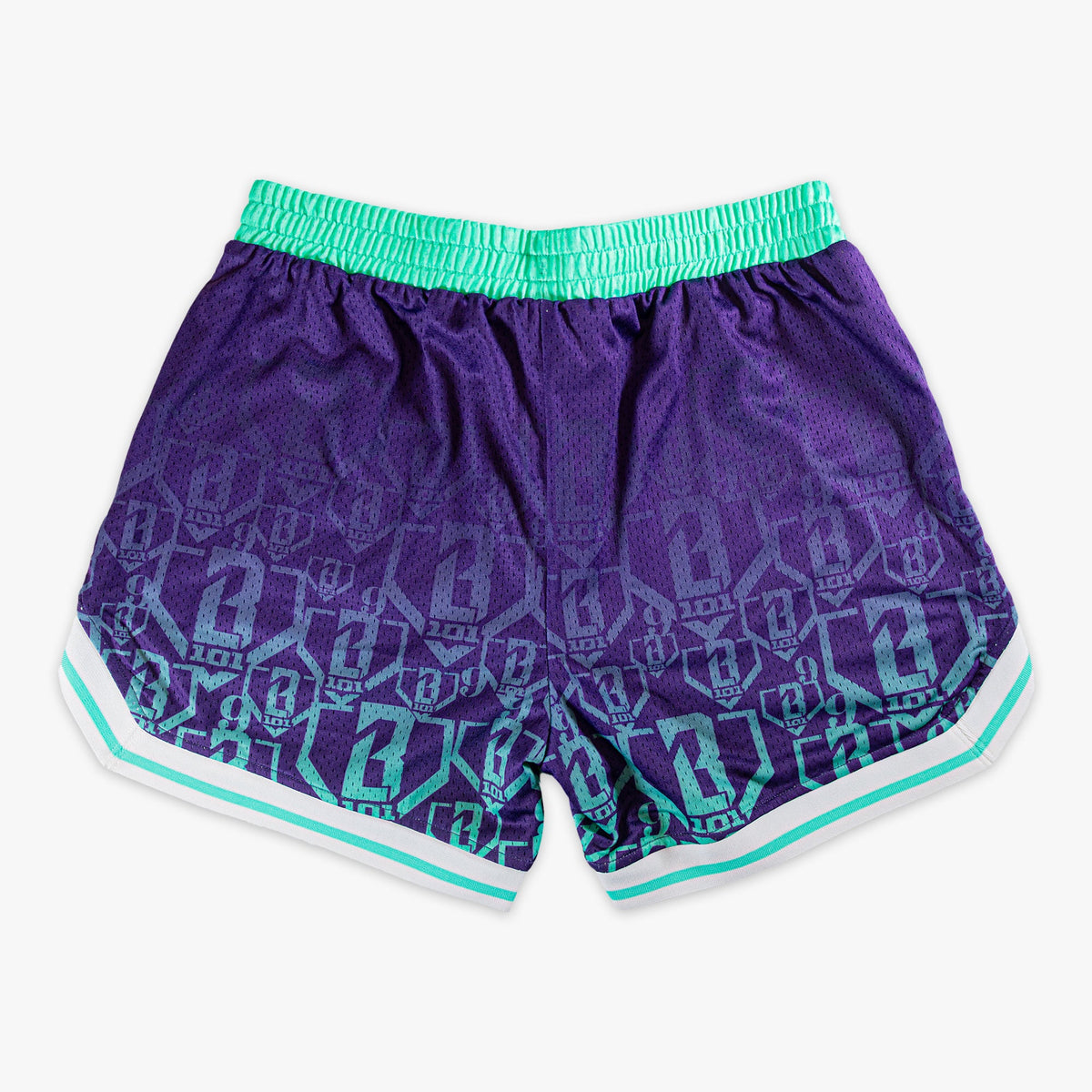 9th Anniversary Shorts