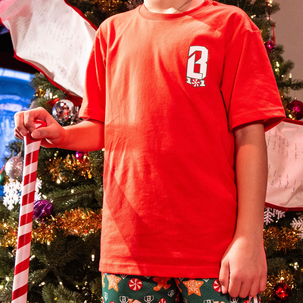 Holiday Home Plate Tee