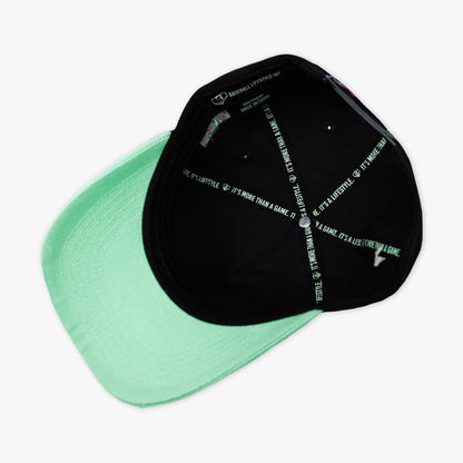 Hit Tanks Snapback