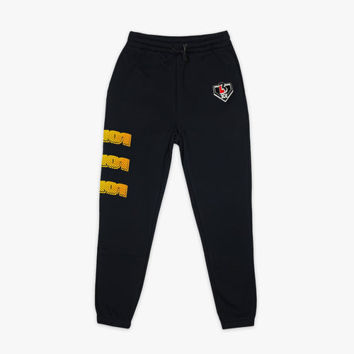 Power Hitter Youth Sweatpants